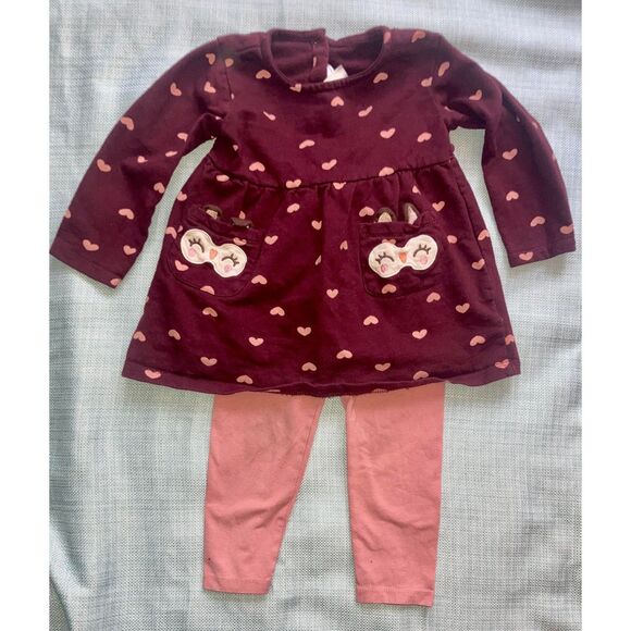 24 Month Girl's Burgandy and Pink Owl Tunic and Leggings Matching Set - Picture 1 of 2